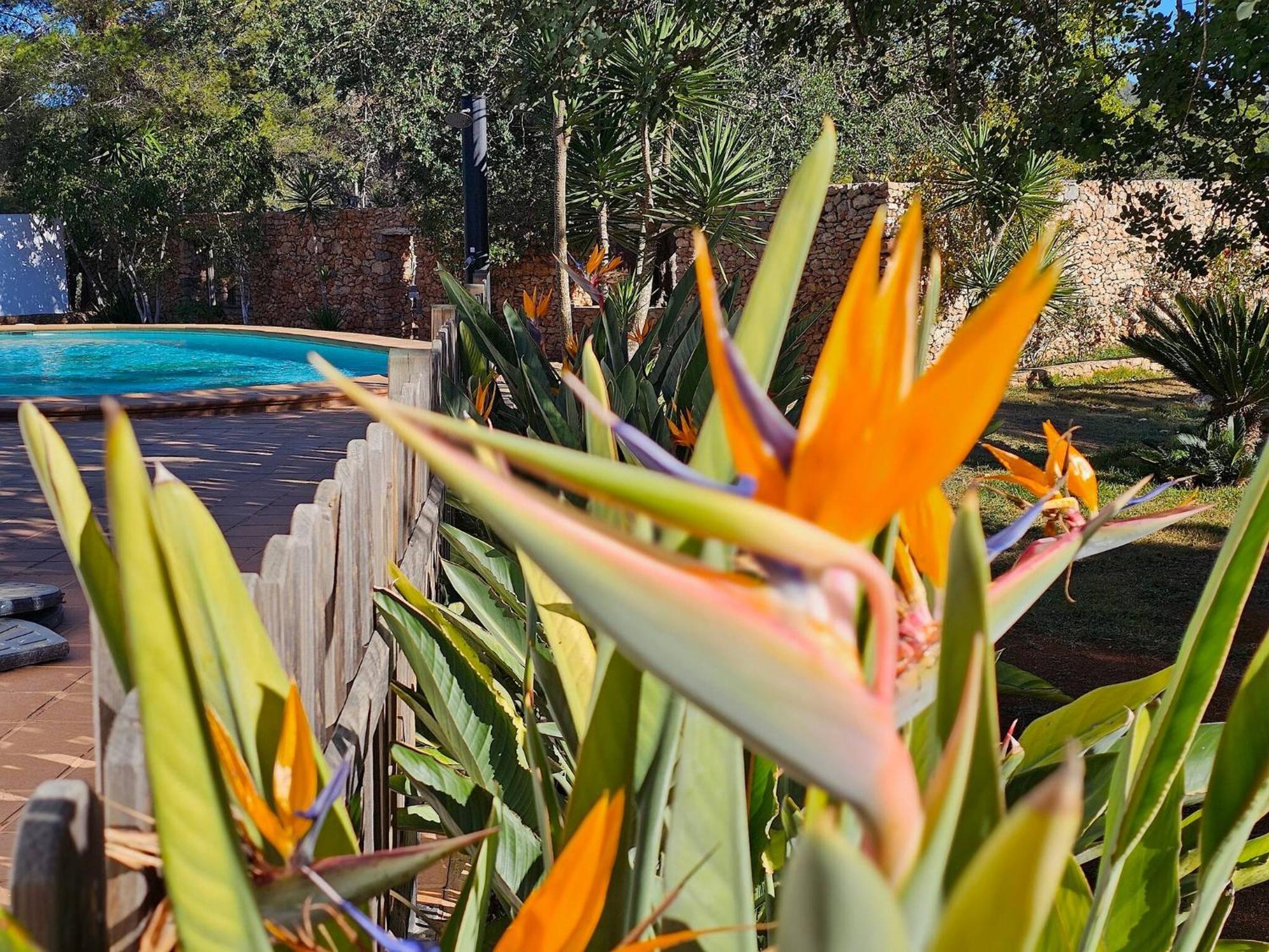 Cala Jondal "Can Amanaya" San José エクステリア 写真